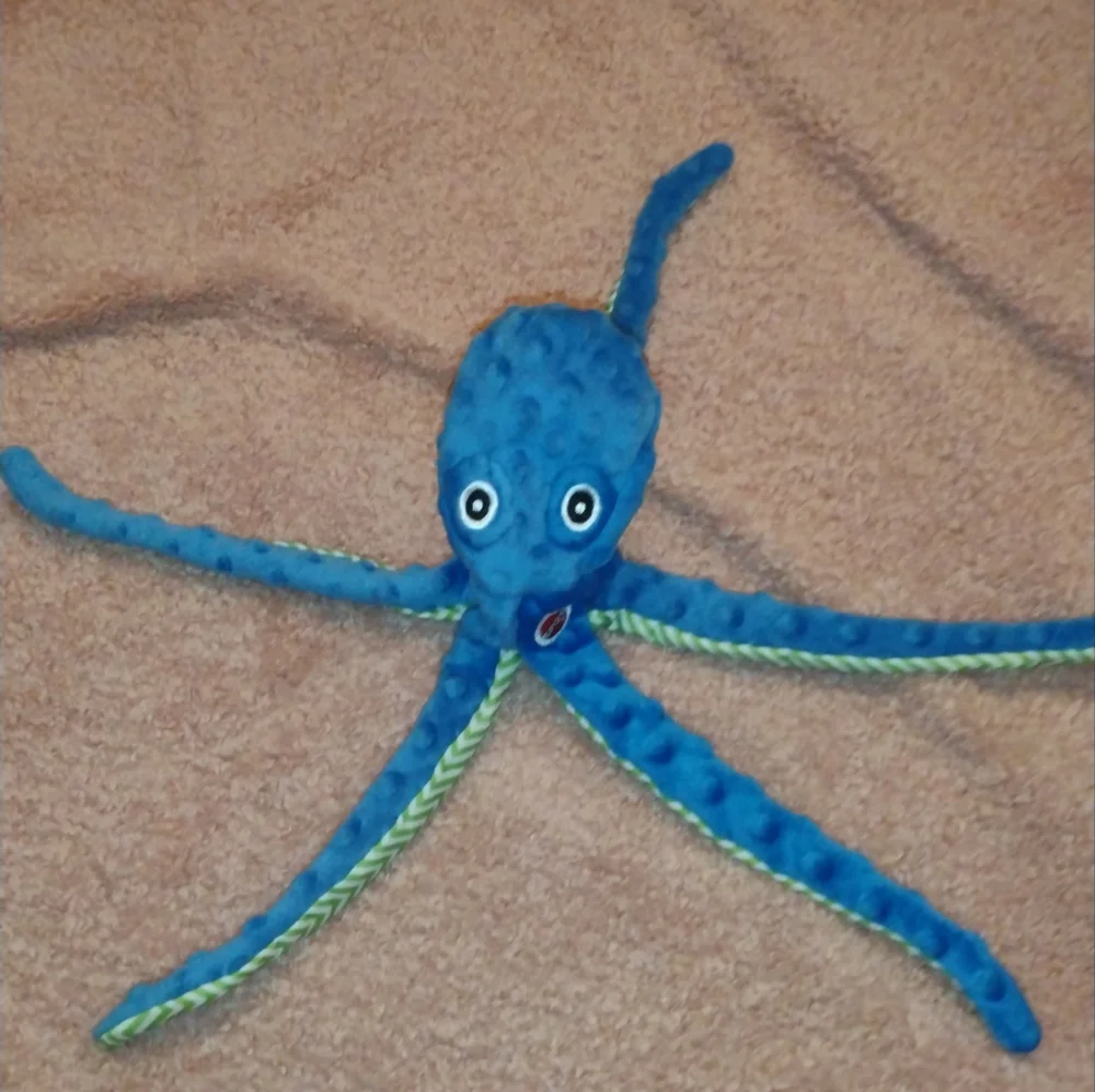 DOGGIE TOYS